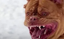 държим държим