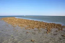 Як будували піраміди Гізи Ваді