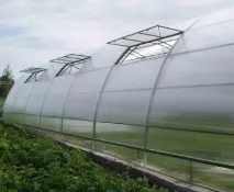Як своїми руками побудувати теплицю для дачі побудувати