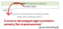 дані