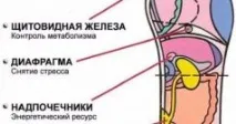 изпълнява желания