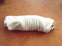 Як зважити кота кота