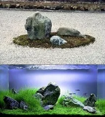 камъни камъни