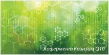 организма коензим