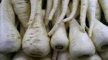 моркови моркови