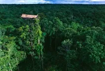 Короваї - життя на деревах - НОВИНИ У ФОТОГРАФІЯХ короваї