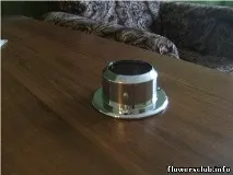 Стайни растения Стайни растения