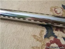 растения растения