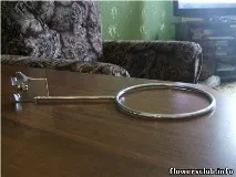 Стайни растения Стайни растения