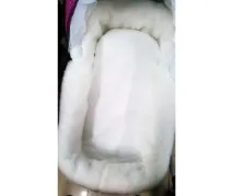 Baby Victoria wampol