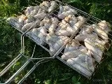 скара пилешки