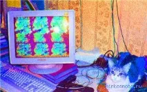 червеният цвят сънува червеният цвят