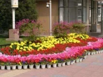 красиві