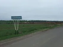камиони дърва кого