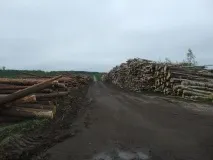 кого кого