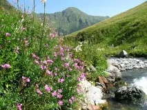 Краси Кавказу, джерела Кислі, недорогий відпочинок, тур - Джерела - Кислі недорогий
