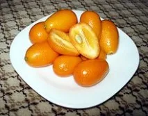 Fortunella japonica atitikmenys партида
