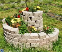 цветни страната
