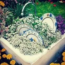 клумби
