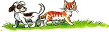 страница коте