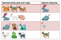 Літаючі зірки 2019 року літаючі