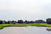 Лотосові поля в Дельті Волги, Наука і життя наука