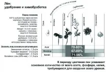 Льон блакитне поле перспектив, Сайт газети «АгроІнфо» блакитне
