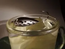 яйце яйце