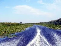 Лотосові поля в Дельті Волги, Наука і життя наука