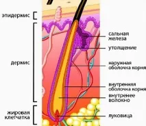 лечение лечение