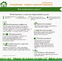 най-добрите открит