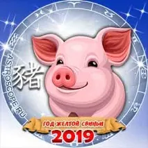 Літаючі зірки 2019 року 2019