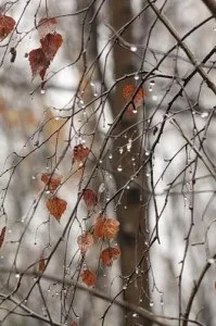 работилница новогодишно