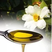 кожата кожата