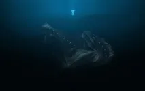 боюся