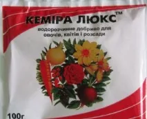 мільтоніопсис