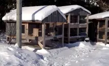 Чи потрібно утеплювати клітку на зиму зиму