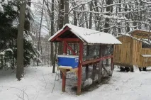 Чи потрібно утеплювати клітку на зиму клітку