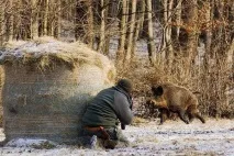 порушення