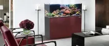 аквариум Чисти морска