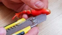 няколко начина