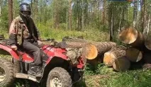 Незаконна вирубка лісу відповідальність за статтею КК РФ, куди звертатися зі скаргою лісу