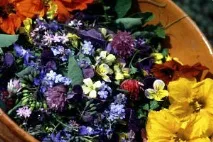 Виявлення білка в сечі у жінок причини та норма, методи лікування білка