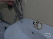 минск нови