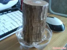 Стайни растения