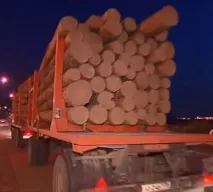 Незаконна вирубка лісу відповідальність за статтею КК РФ, куди звертатися зі скаргою статтею