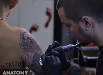 татуировки курсове