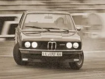 Alpina