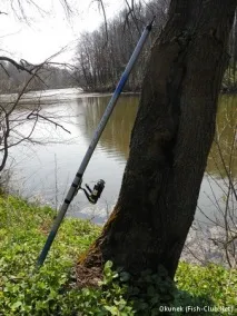 пролетното кимане