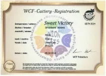 победа Sweet Victory Martin